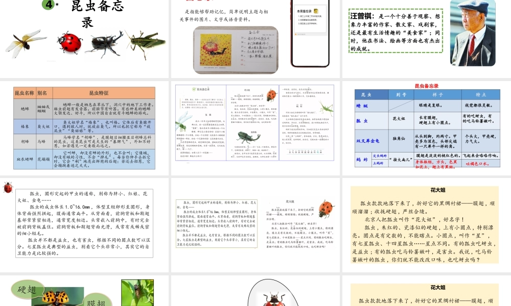 4.昆虫备忘录改.pptx