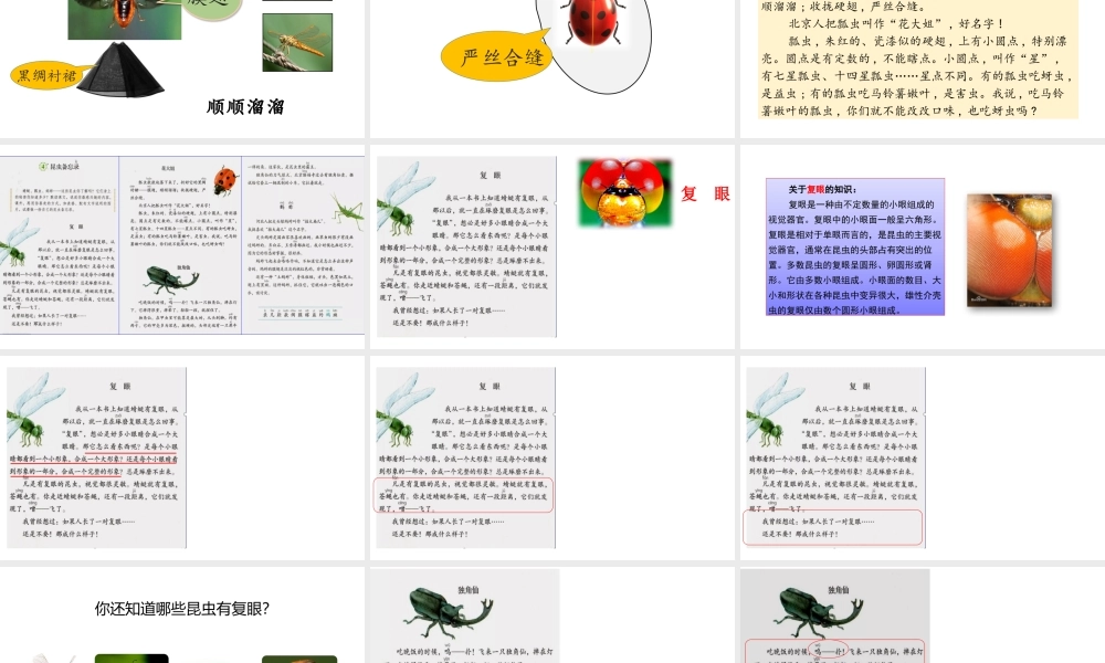 4.昆虫备忘录改.pptx