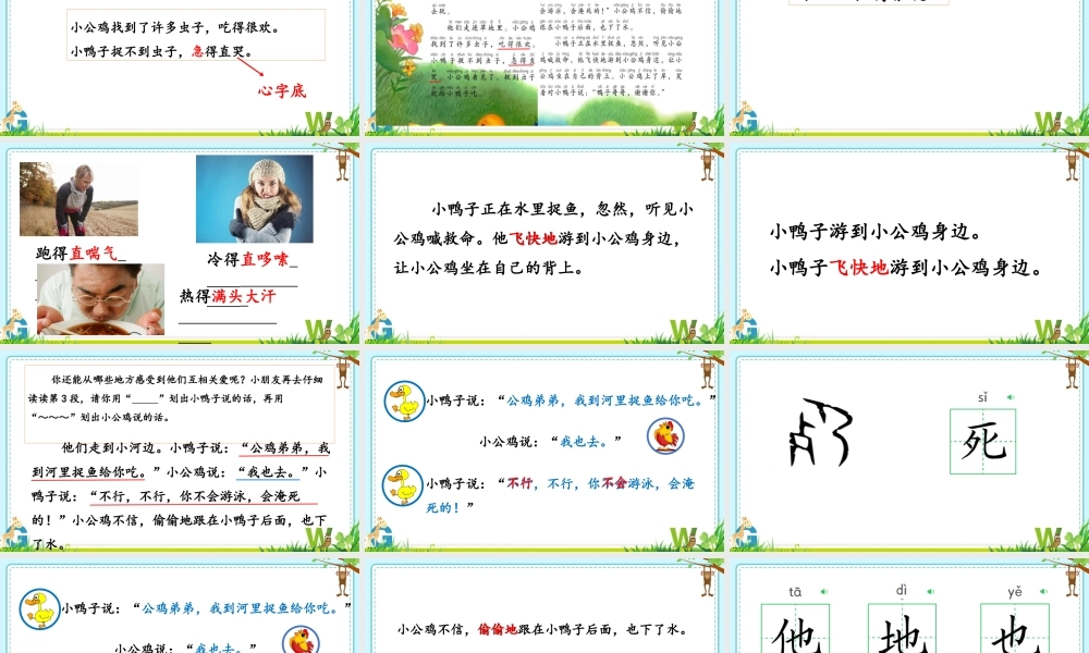 5.《小公鸡和小鸭子》.pptx