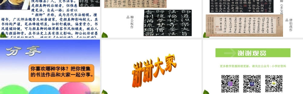 5.8 美丽文字--民族瑰宝 第1课时 课件.ppt