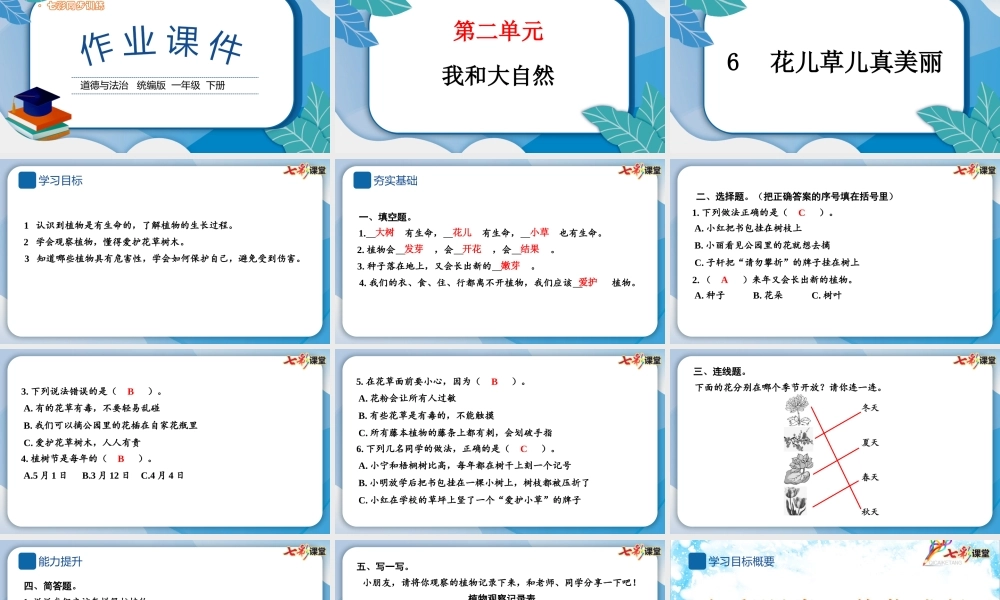 6 花儿草儿真美丽.pptx