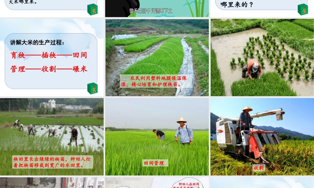 7《我们的衣食之源》第1课时课件.ppt