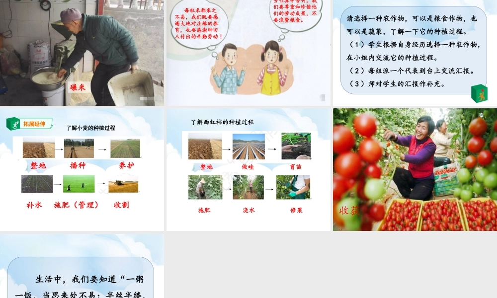 7《我们的衣食之源》第1课时课件.ppt