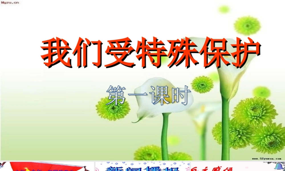 8.我们受特殊保护 第1课时 课件.ppt