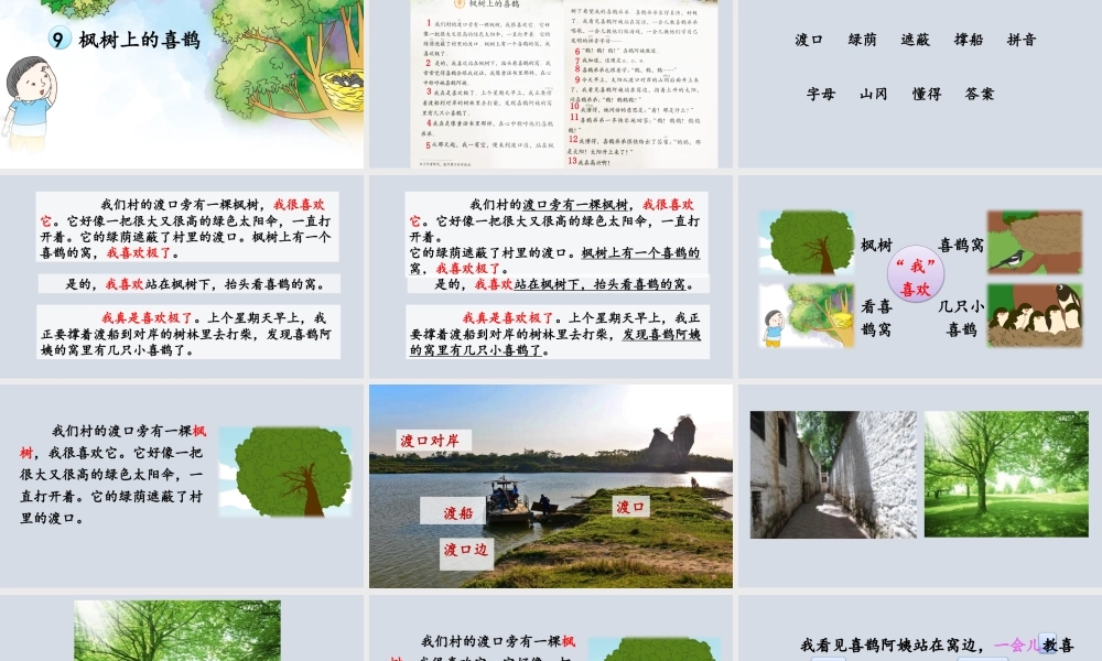 9 枫树上的喜鹊（改）.pptx