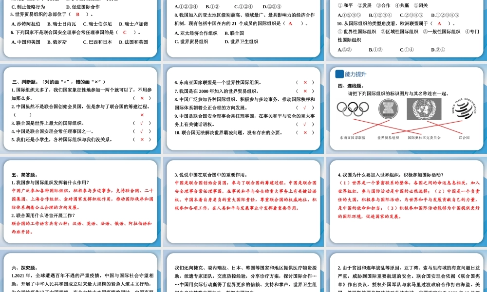 9 日益重要的国际组织.pptx