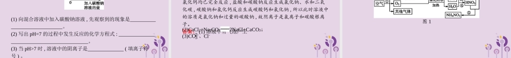 中考化学总复习优化设计第一板块基础知识过关第十一单元盐化肥课件2019040214【考百分kao100.com】.pptx