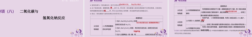 中考化学总复习第一篇基础过关篇专项08二氧化碳与氢氧化钠反应课件201902152142【考百分kao100.com】.pptx