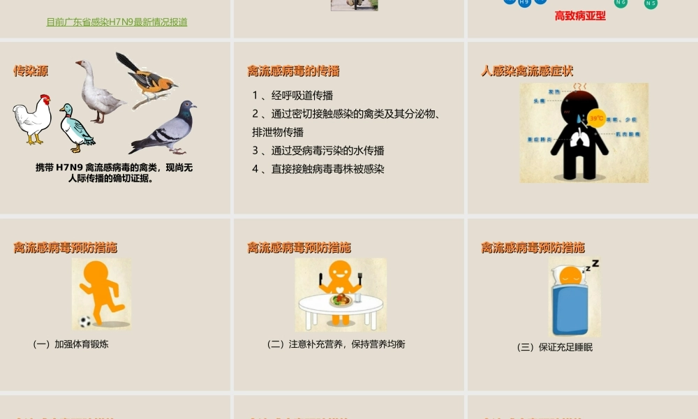 关注健康预防禽流感 .ppt