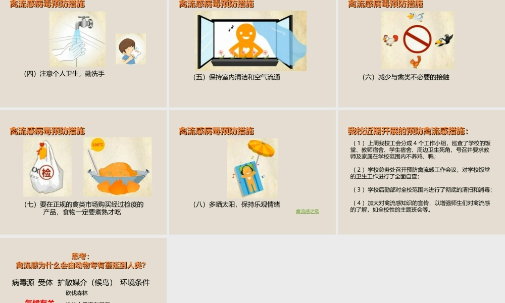 关注健康预防禽流感 .ppt