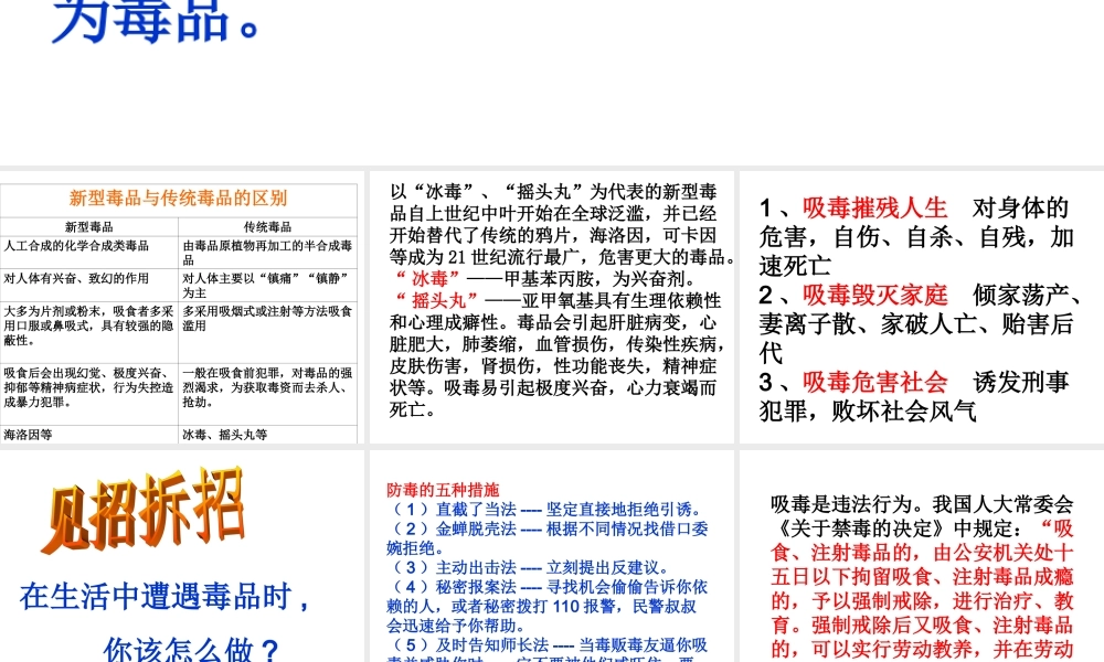 初中班会禁毒主题班会 .ppt