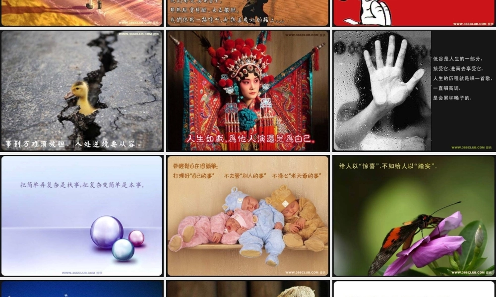 小学班会瓦伦达效应【学霸网www.xue-ba.org】.ppt