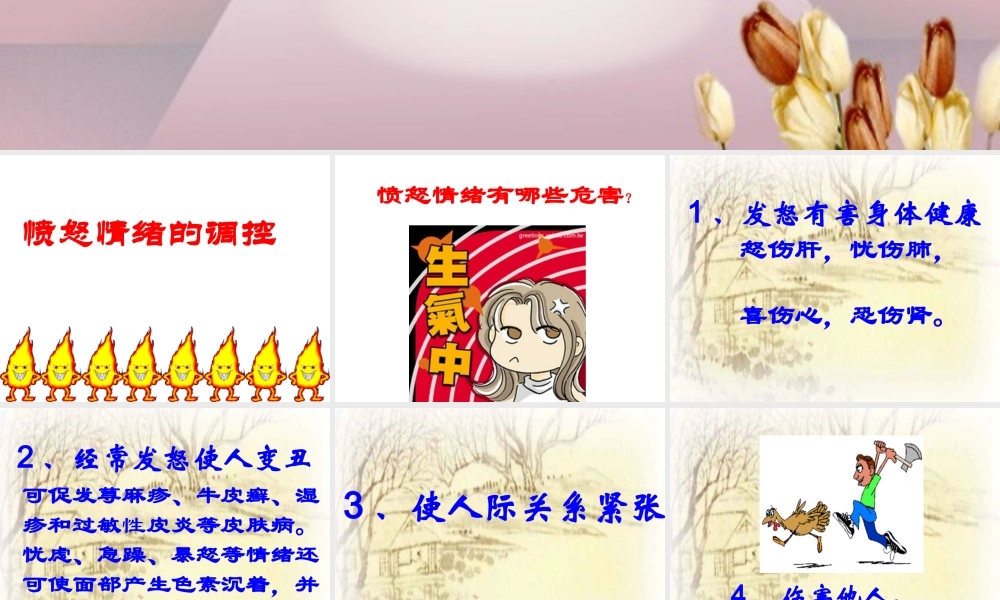 愤怒情绪的调控【学霸网www.xue-ba.org】.ppt