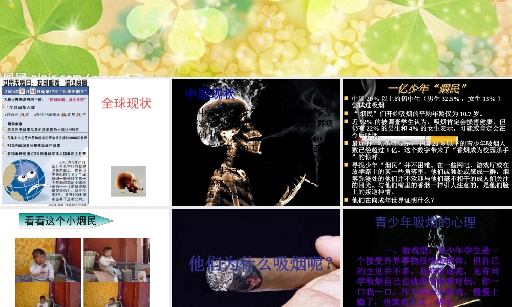 无烟的花季更美好 初中主题班会课件 .ppt