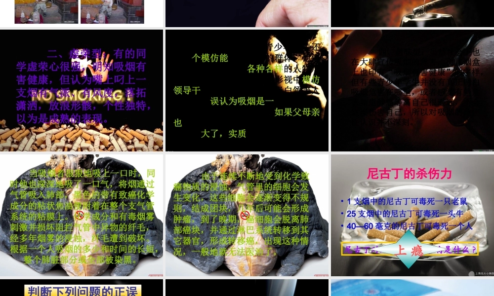 无烟的花季更美好 初中主题班会课件 .ppt