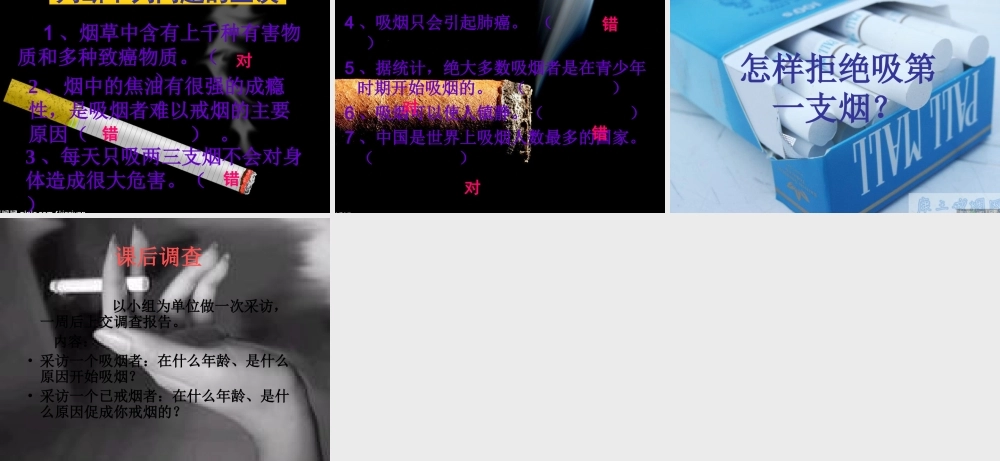 无烟的花季更美好 初中主题班会课件 .ppt