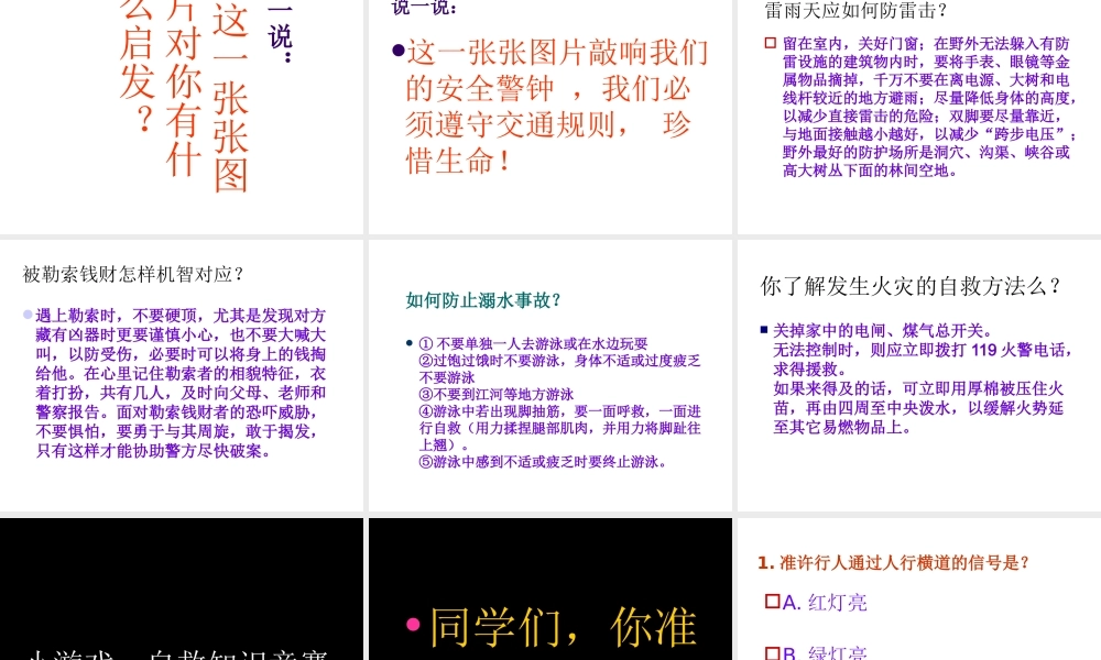 珍爱生命班会ppt .ppt