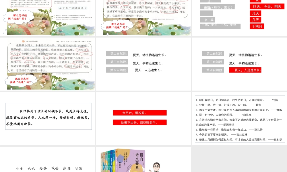 第15课 《夏天里的成长》.pptx