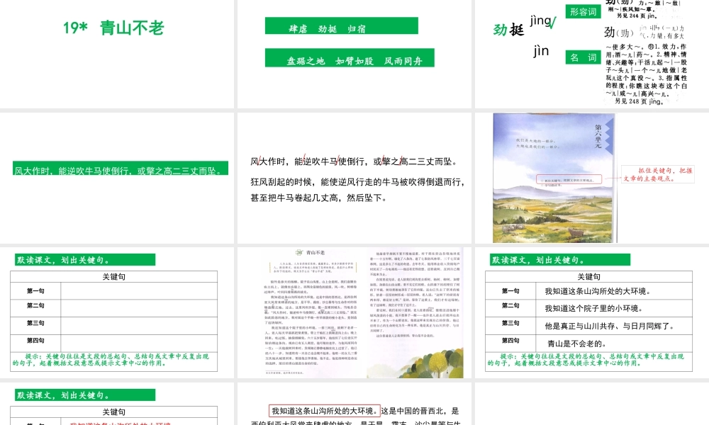 第19课 《青山不老》(未完成).pptx