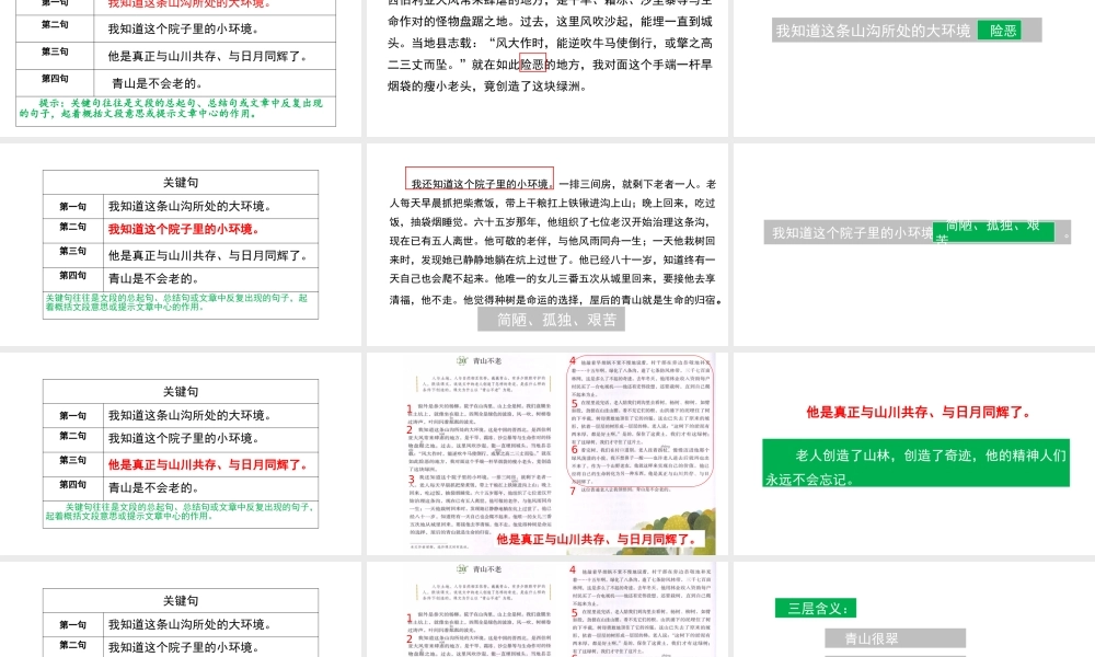 第19课 《青山不老》(未完成).pptx