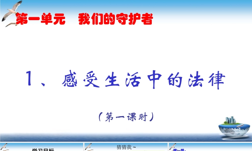 第1课 感受生活中的法律 课件.ppt