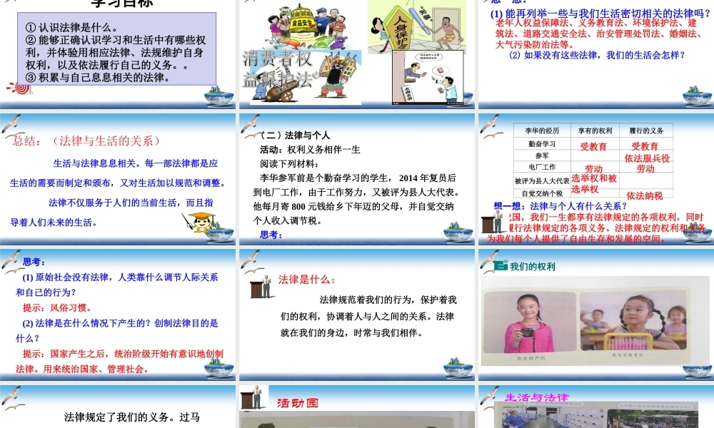 第1课 感受生活中的法律 课件.ppt