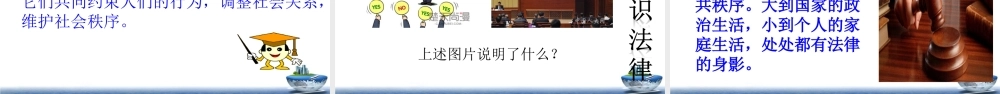第1课 感受生活中的法律 课件.ppt