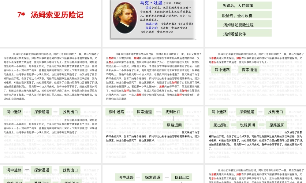 第7课《汤姆索亚历险记》（新）.pptx