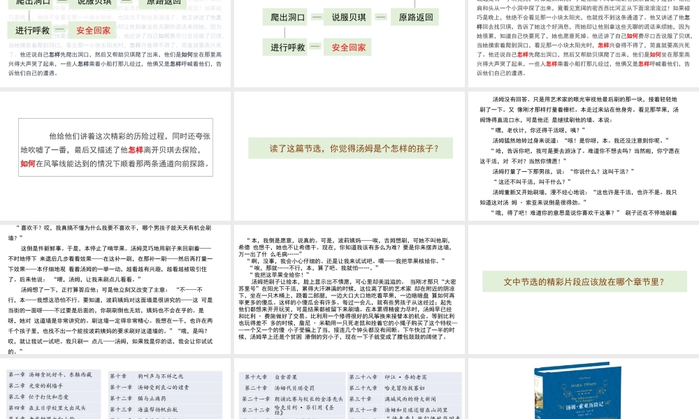 第7课《汤姆索亚历险记》（新）.pptx