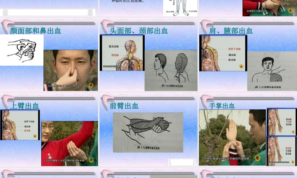 红十字会急救培训 .ppt