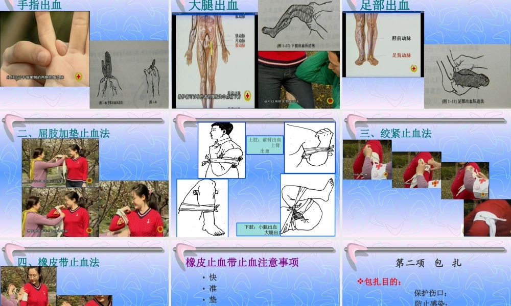红十字会急救培训 .ppt