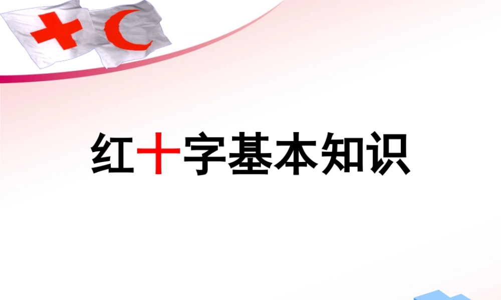 红十字基本知识 .ppt