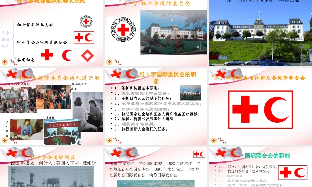 红十字基本知识 .ppt