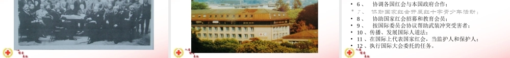 红十字基本知识 .ppt