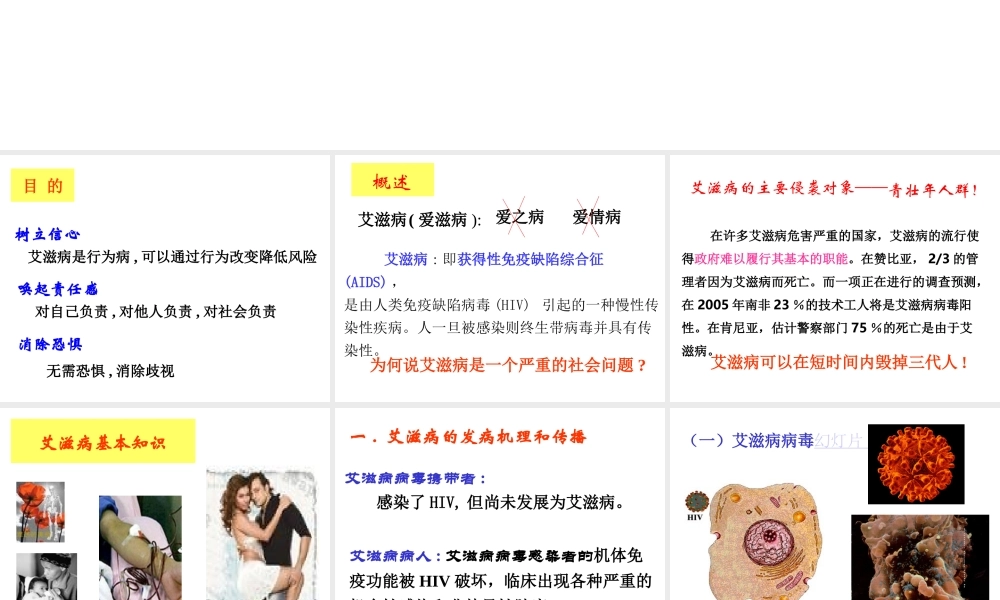 艾滋病基本知识 .ppt