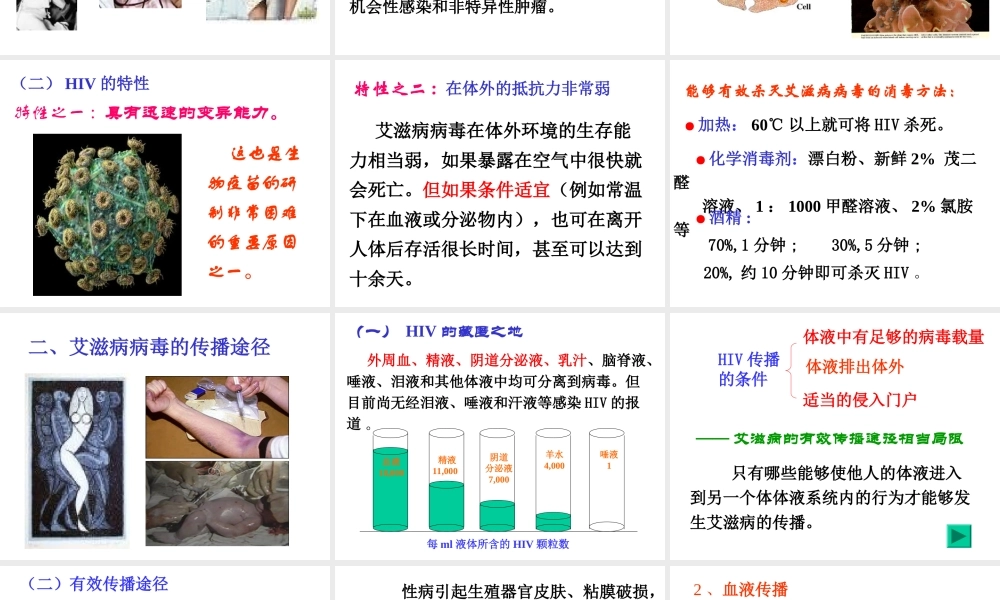 艾滋病基本知识 .ppt