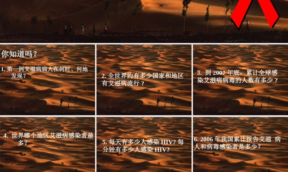 艾滋病流行与危害（课件) .ppt