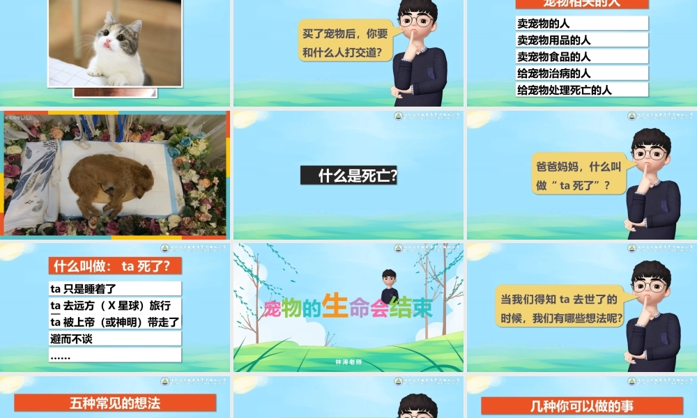 课时13376_宠物对你的爱永存-林涛-授课PPT-《宠物对你的爱永存》【公众号dc008免费分享】.pptx