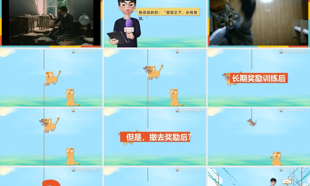 课时13423_重赏之后还是勇猫？-林涛-授课PPT-《重赏之后还是勇猫？》【公众号dc008免费分享】.pptx