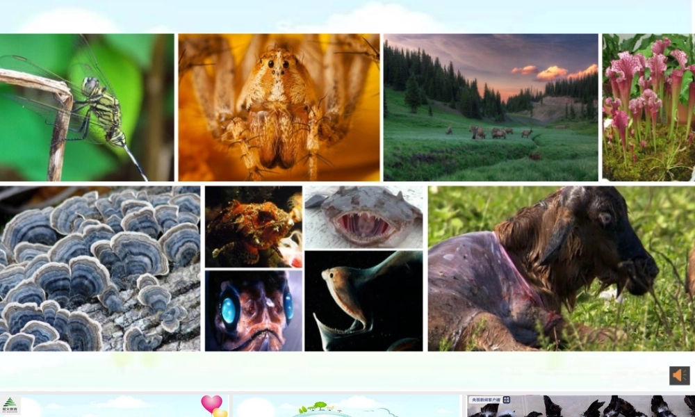 课时13414_人类与大自然-人类与大自然课件【公众号dc008免费分享】.pptx