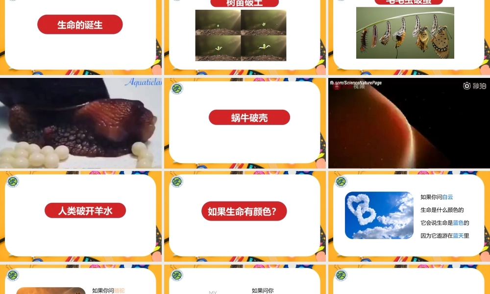 课时19423_你好生命-你好生命【公众号dc008免费分享】.pptx