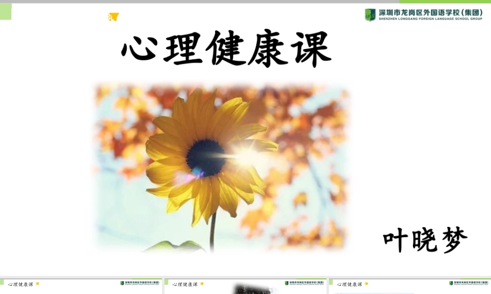 课时19420_风中的树叶-风中的树叶【公众号dc008免费分享】.pptx