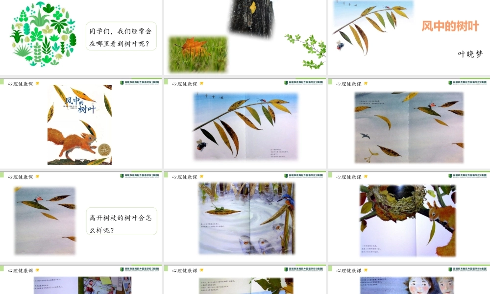 课时19420_风中的树叶-风中的树叶【公众号dc008免费分享】.pptx