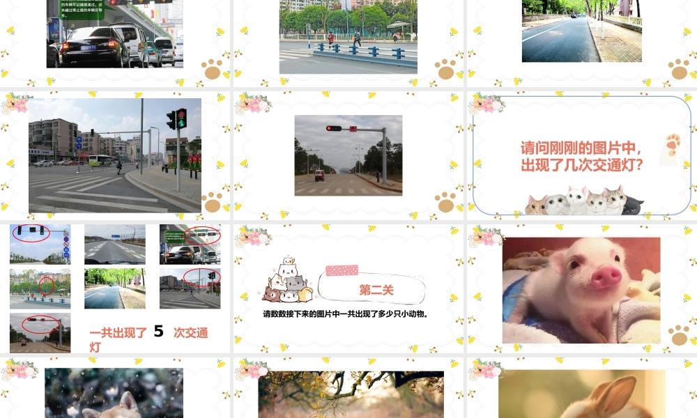 课时19434_专注力修炼手册-四年级上第6课-专注力修炼手册【公众号dc008免费分享】.pptx