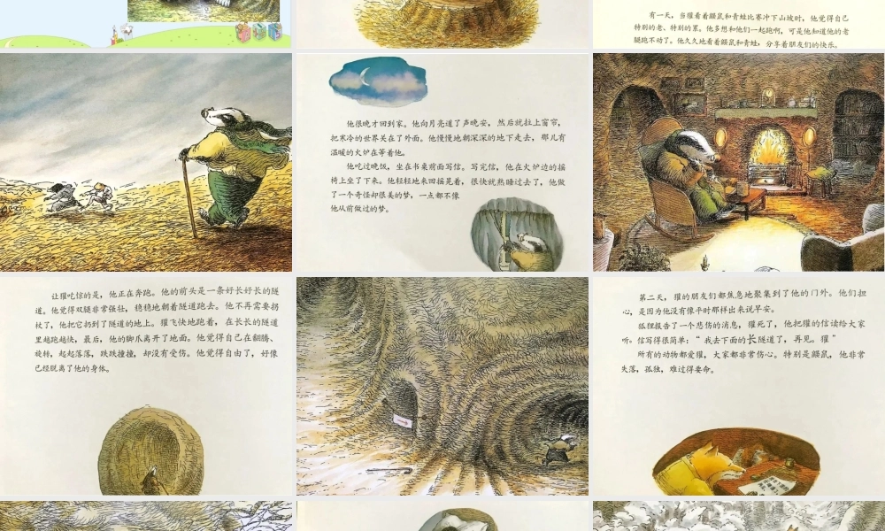 课时19474_生命的礼物-《生命的礼物》课件【公众号dc008免费分享】.pptx