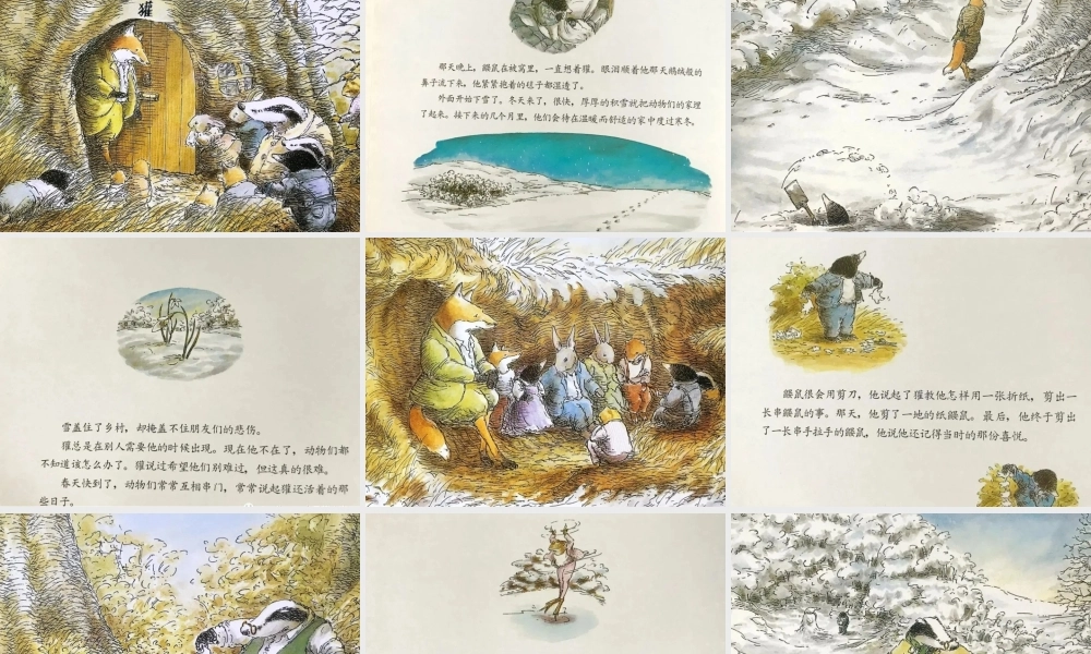 课时19474_生命的礼物-《生命的礼物》课件【公众号dc008免费分享】.pptx