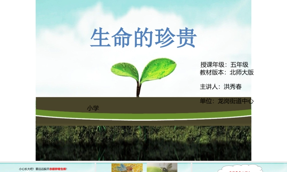 课时19475_生命的珍贵-生命的珍贵【公众号dc008免费分享】.pptx