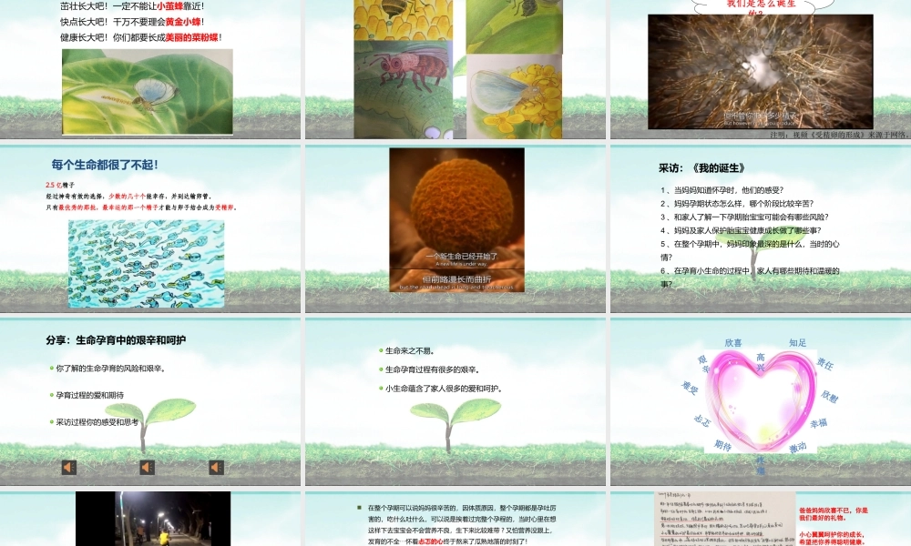 课时19475_生命的珍贵-生命的珍贵【公众号dc008免费分享】.pptx