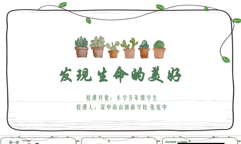 课时19521_发现生命的美好-发现生命的美好（课件）—张觉中【公众号dc008免费分享】.pptx