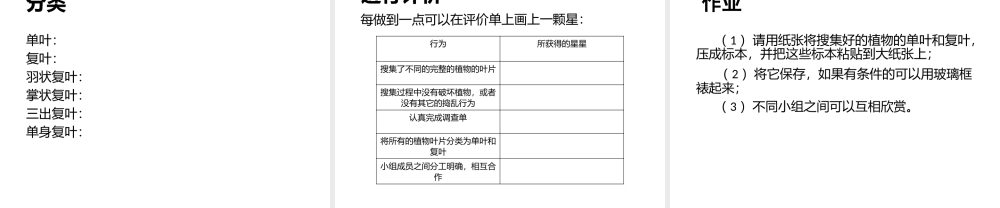 课时4517_植物叶片种类整理-小学综合实践微课课件《植物叶片种类整理》（大鹏中心小学李冀尖）【虚拟宝库网www.xunibaoku.com】.pptx
